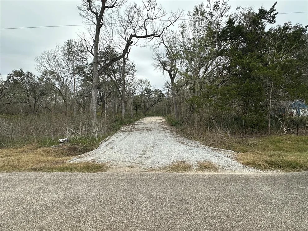 Unit for sale at 16532 County Road 729, Brazoria, TX 77422