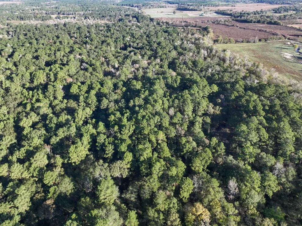 Unit for sale at 156 Lessa Lane, Huntsville, TX 77340