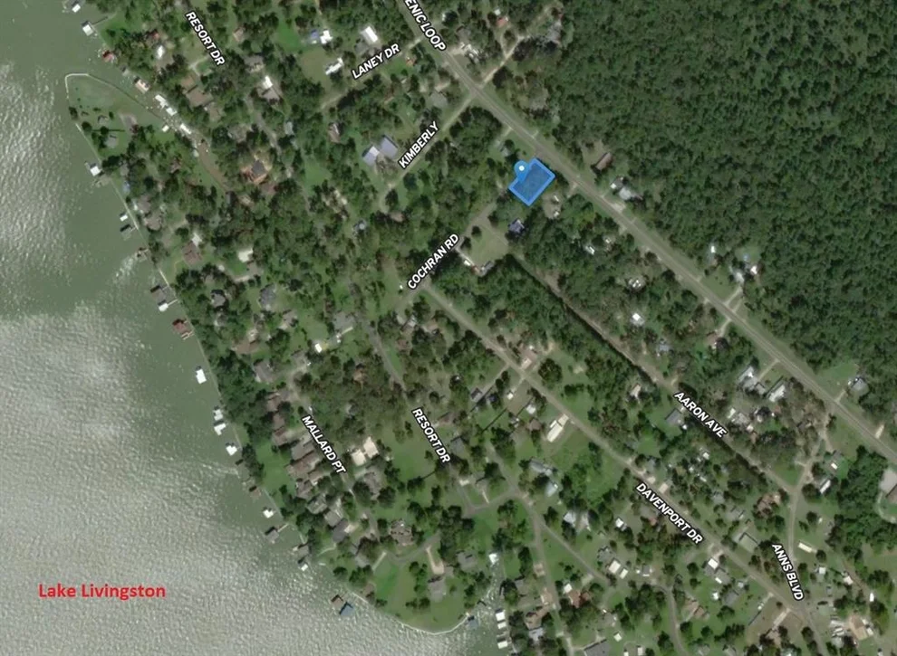 Unit for sale at 133 Ernest Cochran Road, Livingston, TX 77351