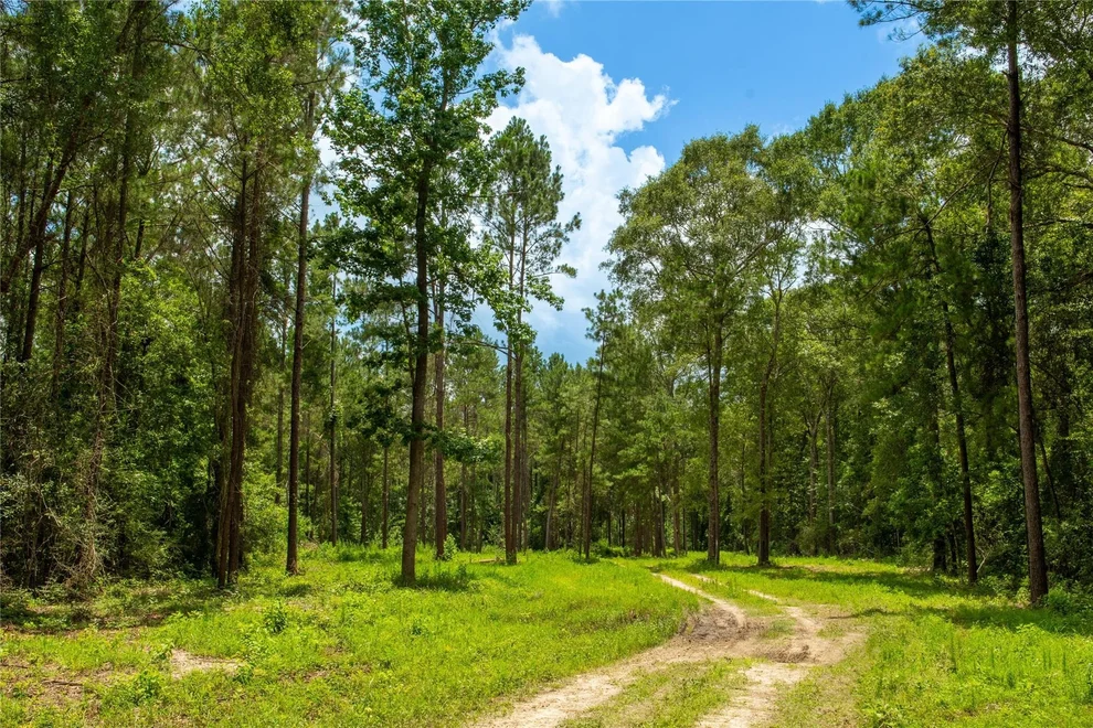 Unit for sale at 0 County Road 547, Kirbyville, TX 75956
