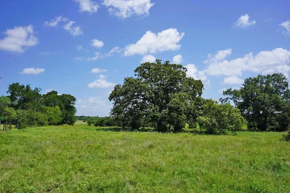 Unit for sale at 00065 County Road 419, Navasota, TX 77868
