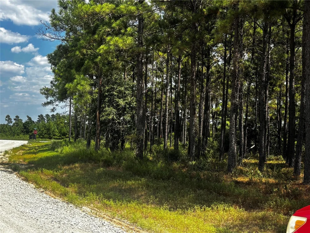 Unit for sale at TBD Trinity Trail, Lovelady, TX 75851