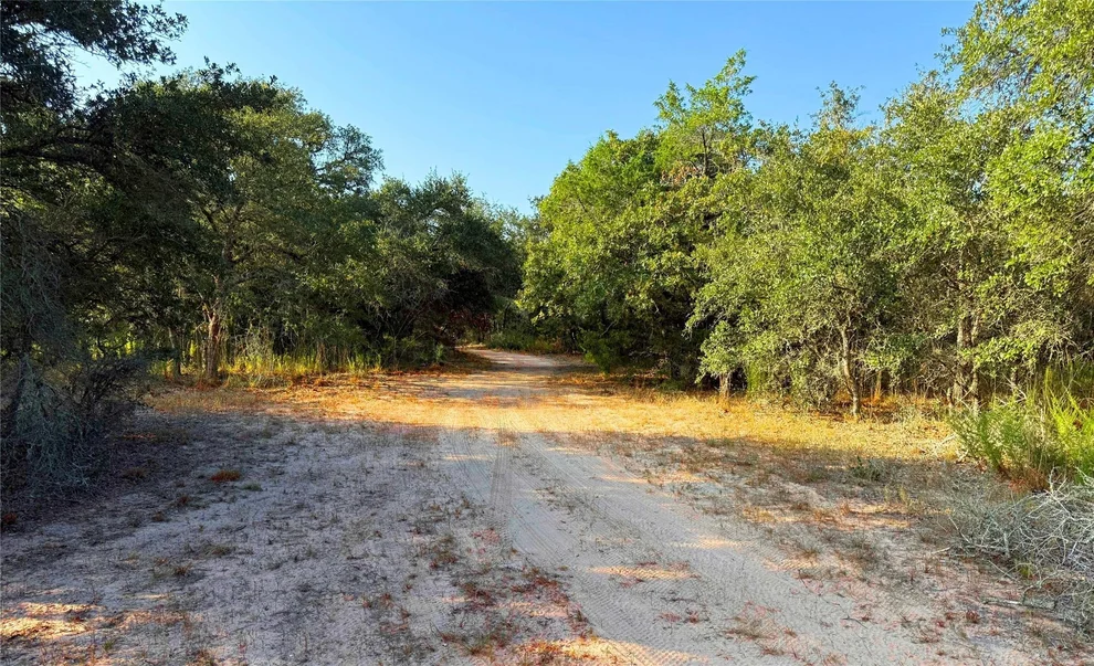 Unit for sale at TBD County Road 15, Hallettsville, TX 77964