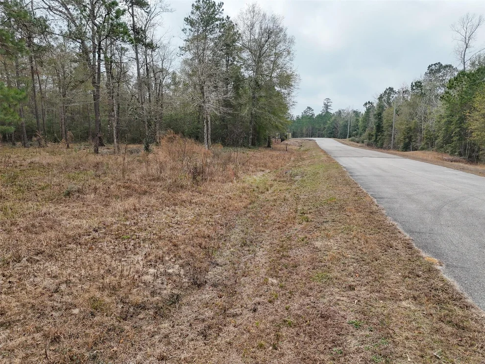 Unit for sale at tbd Chisolm Court, Cleveland, TX 77328