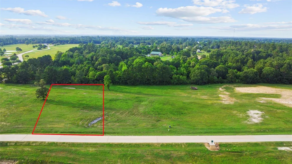 Unit for sale at 2407 Emerie Arbor Lane, Hockley, TX 77447