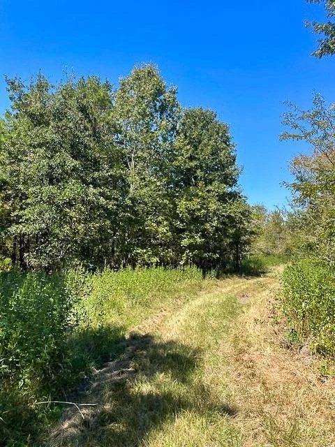 Unit for sale at 8881 Fm 356, Trinity, TX 75862