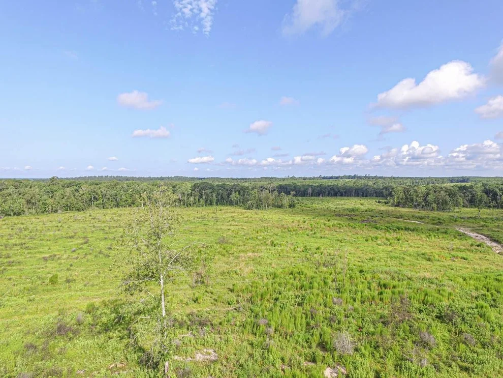 Unit for sale at TBD Sandydale, Livingston, TX 77351