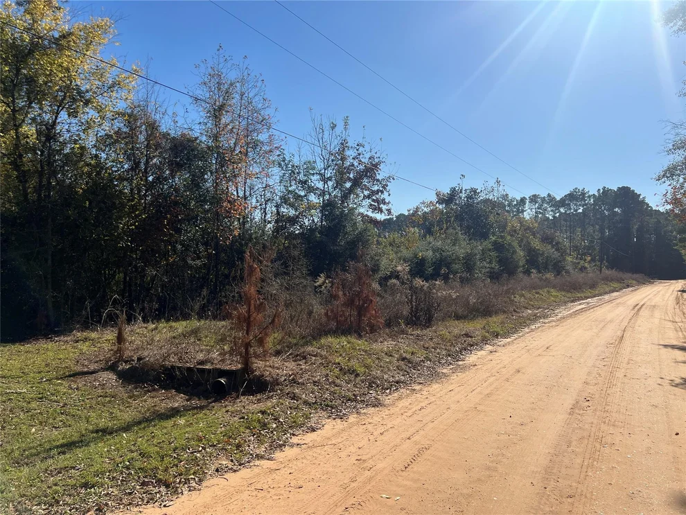 Unit for sale at TBD Shenandoah Lane, Livingston, TX 77351