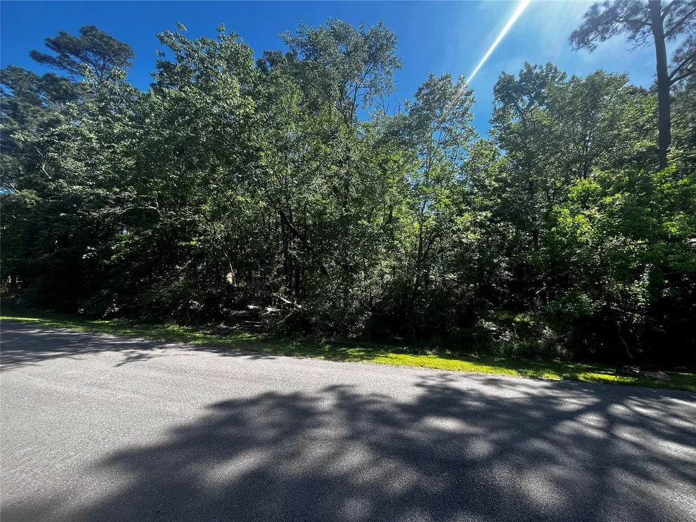 Unit for sale at 70 Wentworth Lane, Coldspring, TX 77331