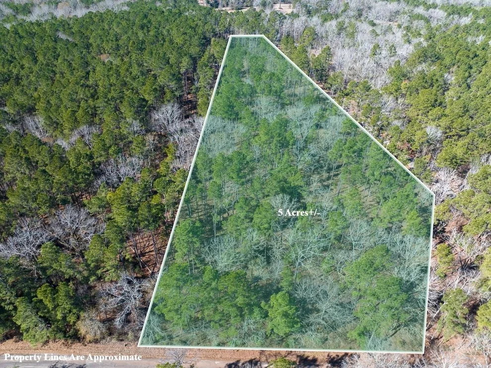 Unit for sale at 1 O'quinn Road, Pollok, TX 75969