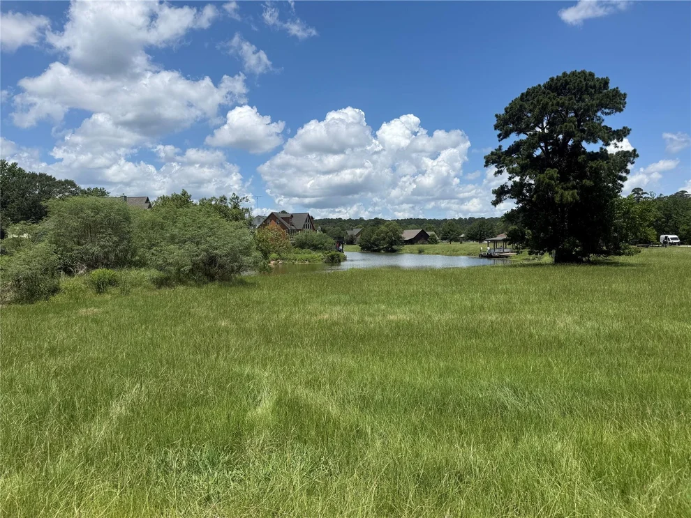 Unit for sale at 4 Wild Iris Court, Huntsville, TX 77340
