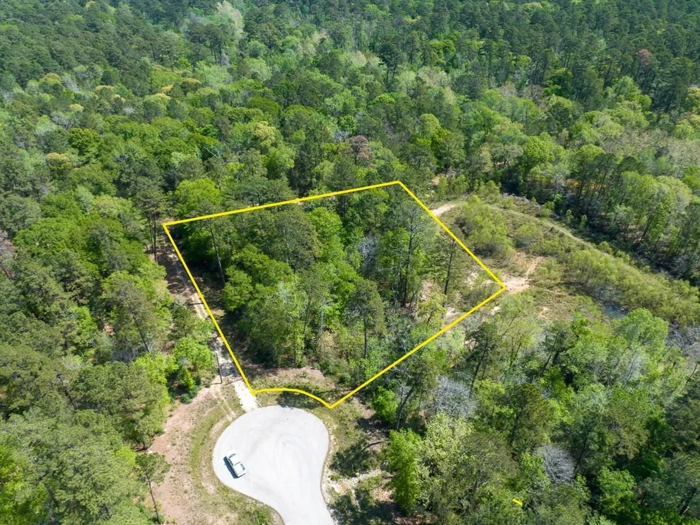 Unit for sale at 1 Sandstone Lane, Huntsville, TX 77340
