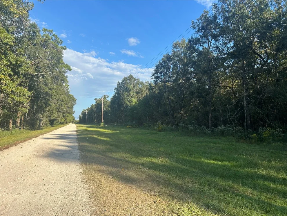 Unit for sale at Tract 45, 46 Tx-61 Pr 117, Devers, TX 77538