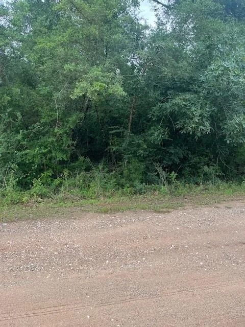 Unit for sale at 0 Deerwood Drive, Hempstead, TX 77445