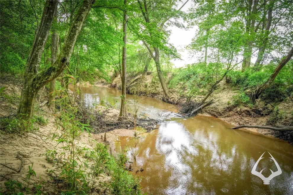 Unit for sale at 00 Dorsey Road, Hemphill, TX 75948