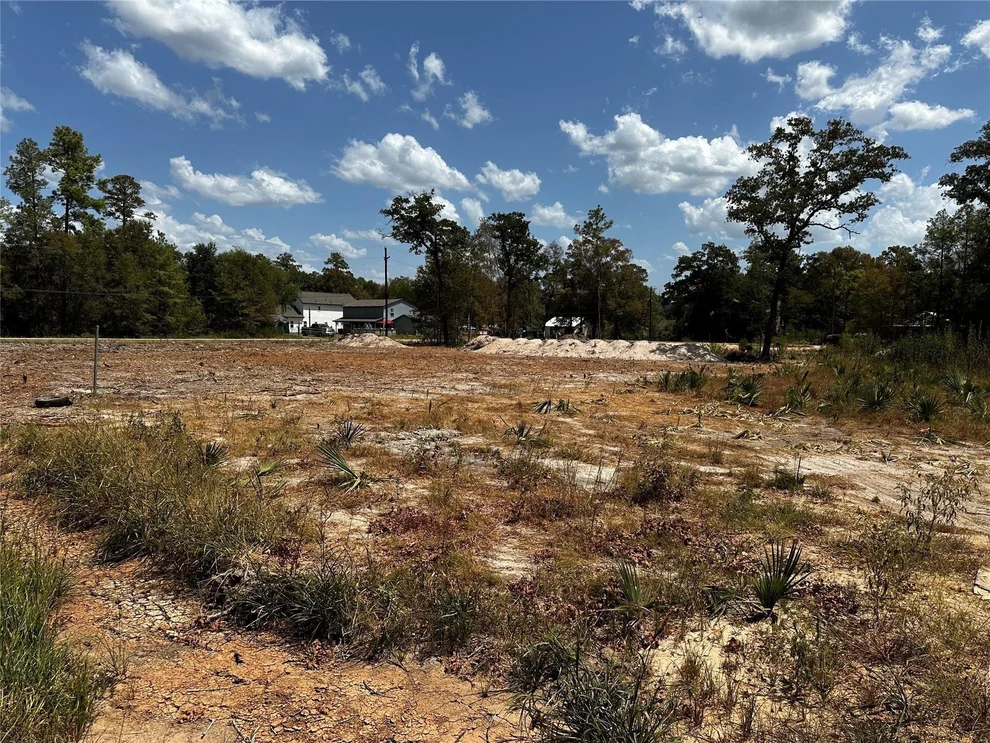 Unit for sale at 17123 Spindle Oaks Drive, Conroe, TX 77385