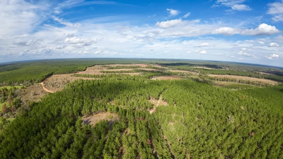 Unit for sale at 462 Timber Rd, Livingston, TX 77351
