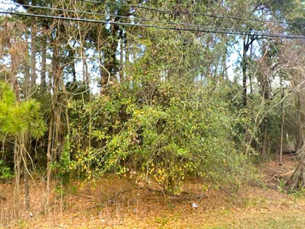Unit for sale at 19003 Rio Villa Drive, Houston, TX 77049