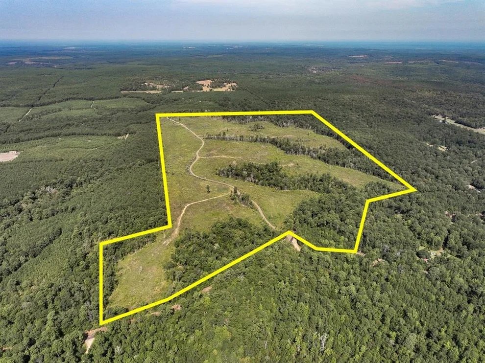 Unit for sale at 1 County Road 3725, Colmesneil, TX 75938