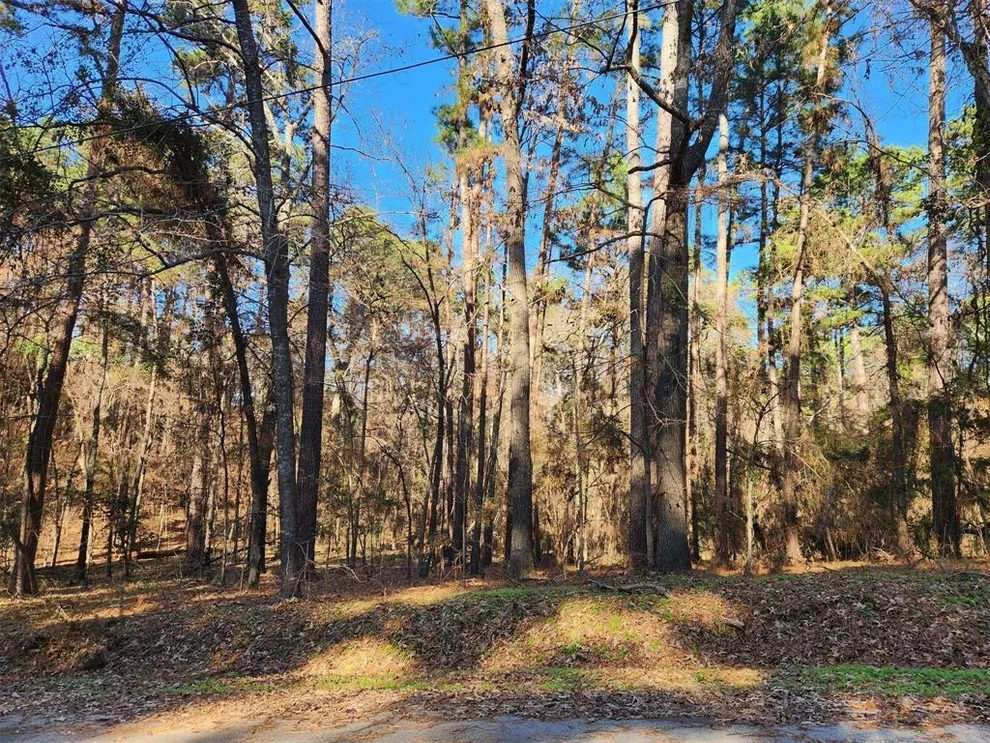 Unit for sale at 17498 Pintail Drive, Flint, TX 75762