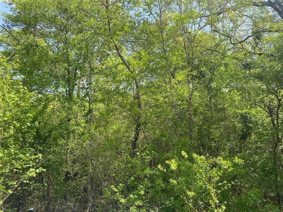 Unit for sale at 0 Hollybrook Drive, Plantersville, TX 77363