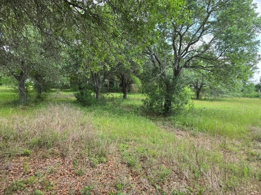 Unit for sale at 1238 E Fm 1093 Road, Wallis, TX 77485