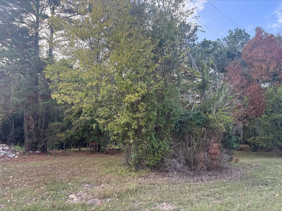 Unit for sale at 0 Silver Hickory Drive, Coldspring, TX 77331