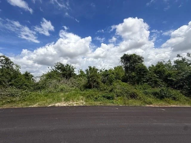 Unit for sale at 13033 Greens Bayou Street, Houston, TX 77015
