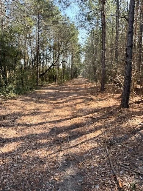 Unit for sale at 00 County Rd 1640, Grapeland, TX 75844