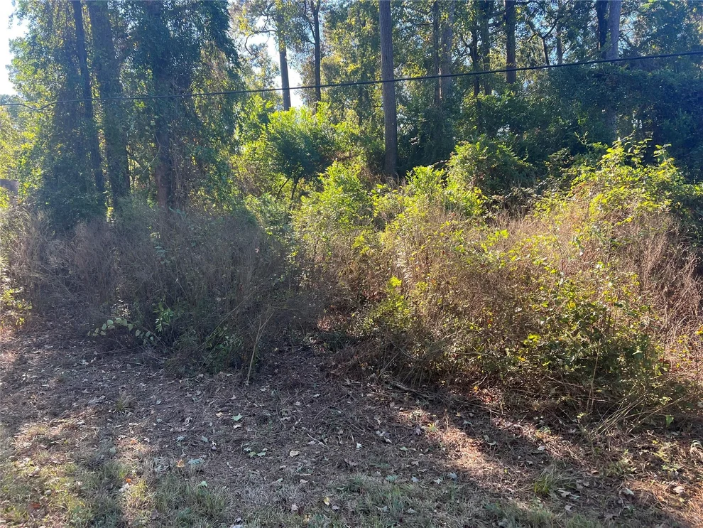 Unit for sale at 25744 Dogwood Lane, Cleveland, TX 77328