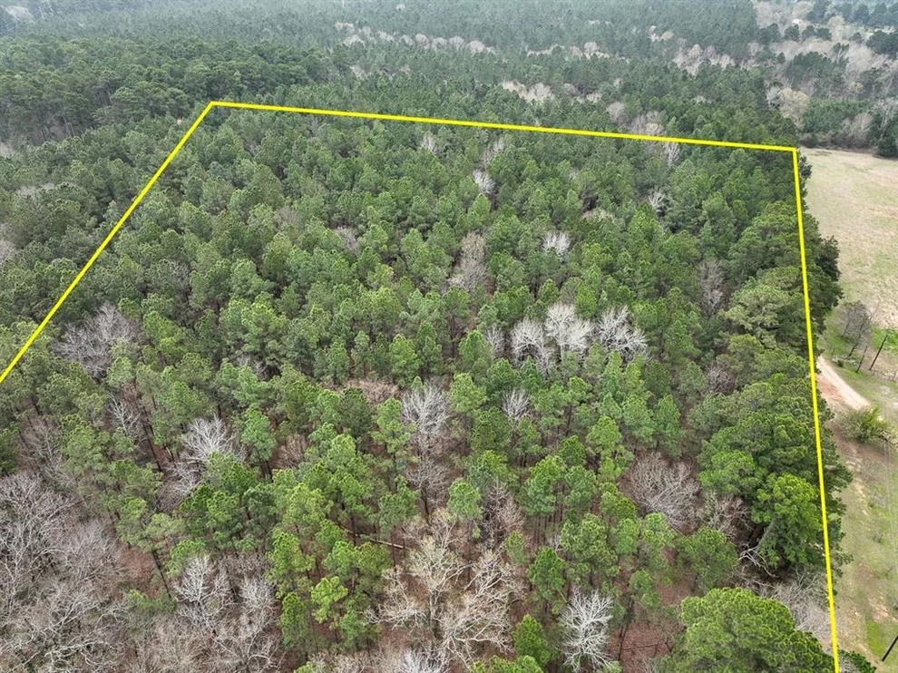 Unit for sale at TBD Cr 4811, Troup, TX 75789