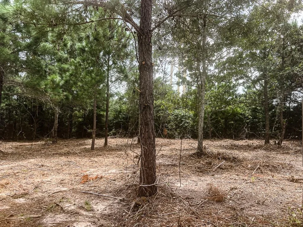 Unit for sale at 13553 County Road 446, Navasota, TX 77868