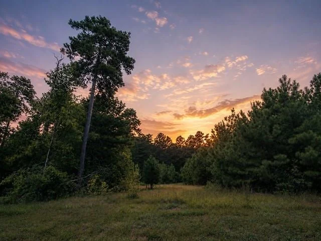 Unit for sale at 15881 Wood Grove Way, Willis, TX 77378