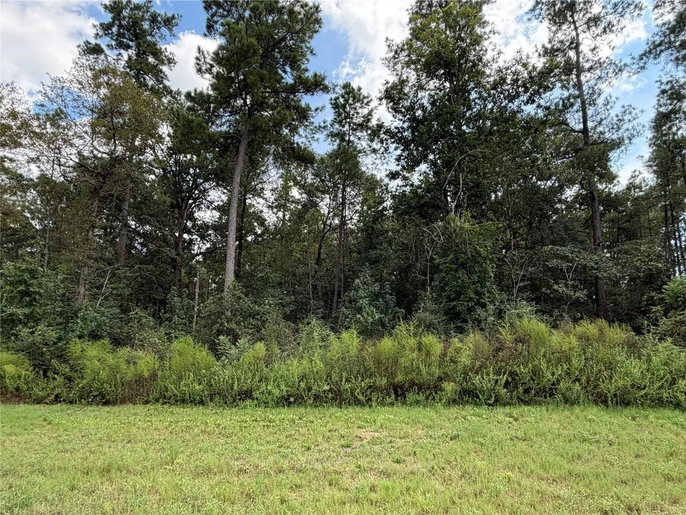 Unit for sale at 15261 Forest Grove Drive, Willis, TX 77378