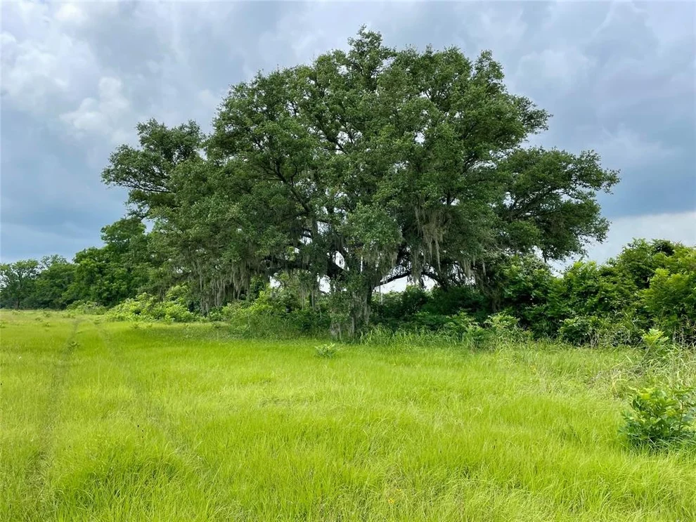 Unit for sale at 16876 County Road 809, Brazoria, TX 77422