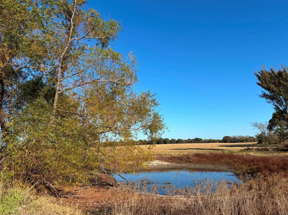Unit for sale at 000 Fm 1653, Ben Wheeler, TX 75754