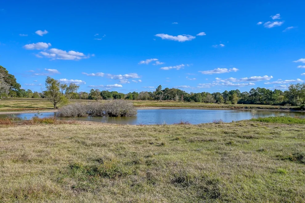 Unit for sale at 75 ACRES Spring Branch Road, Montgomery, TX 77316