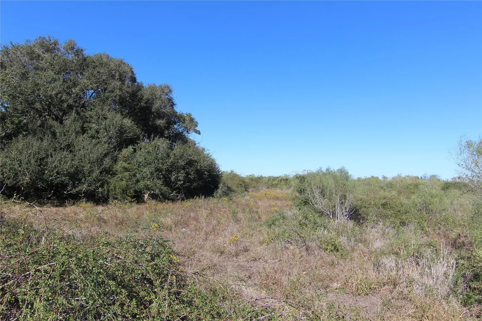 Unit for sale at 0 County Road 215, Ganado, TX 77962