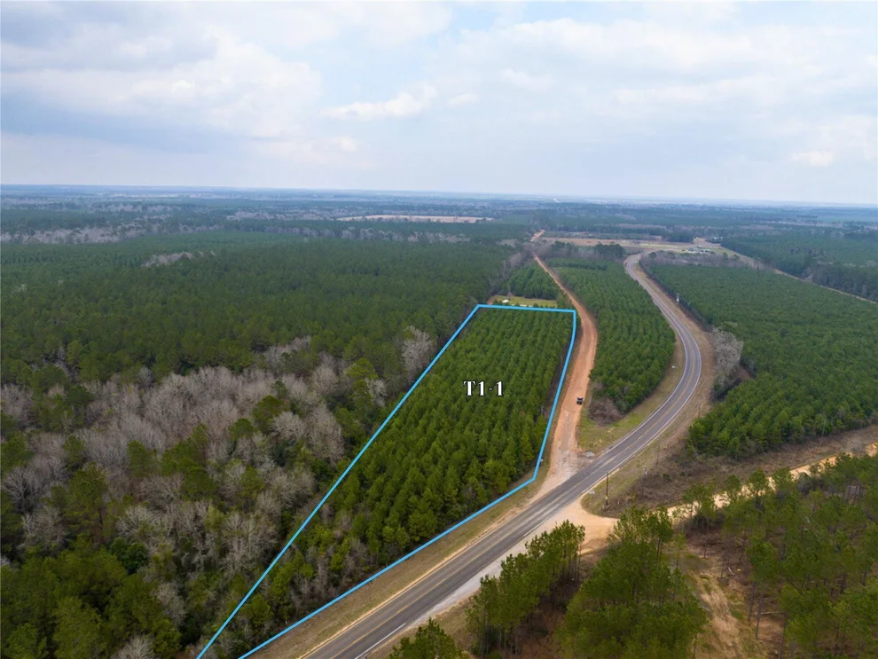 Unit for sale at 3 Menard Chapel Road, Livingston, TX 77351