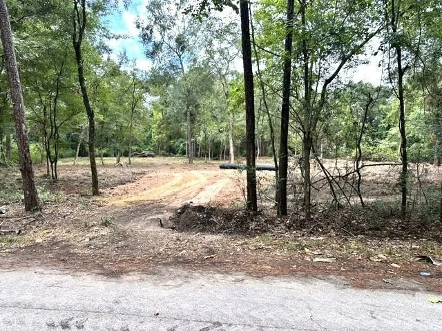 Unit for sale at 0 Pine Creek Road, Hockley, TX 77447