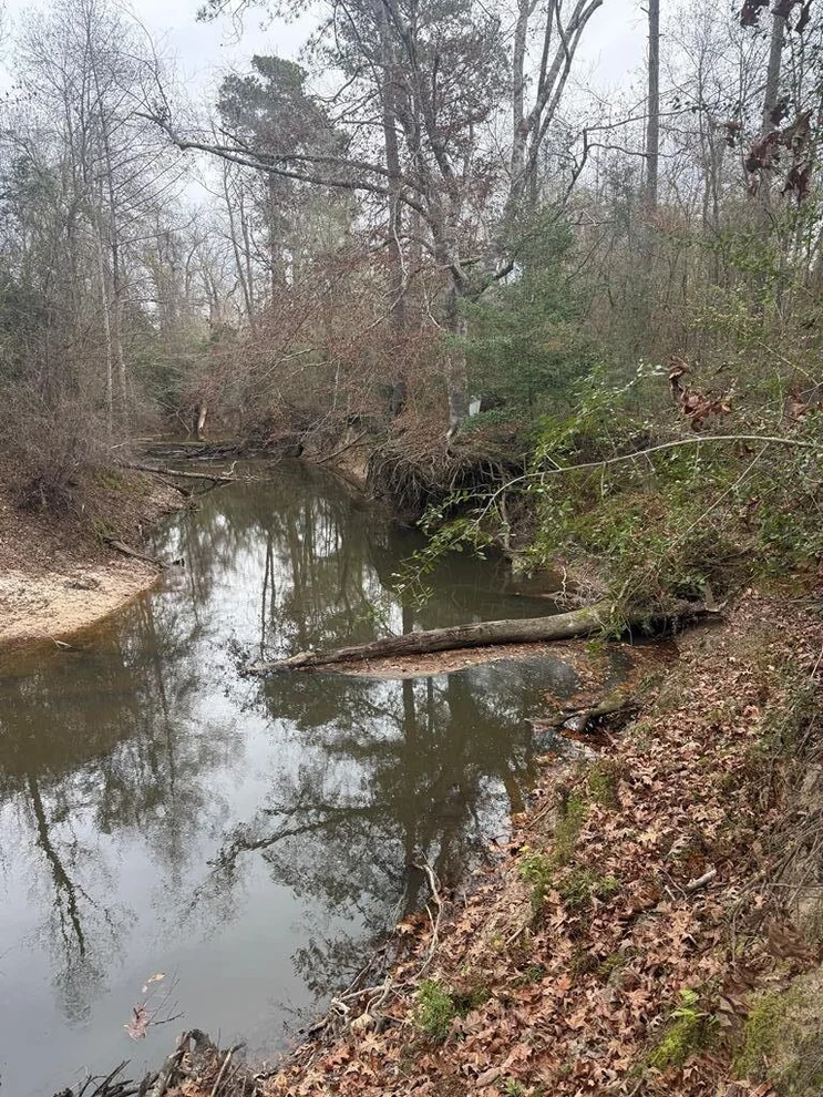 Unit for sale at 371 County Road 4240, Kirbyville, TX 75928