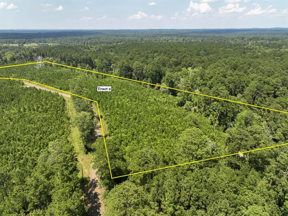 Unit for sale at 02 Fire Tower Road, Hemphill, TX 75948