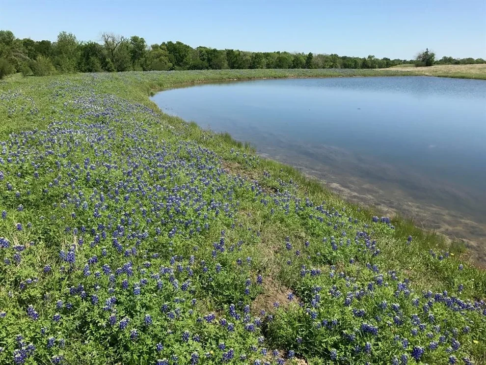 Unit for sale at 5796 Hurtig Road, Bleiblerville, TX 78931