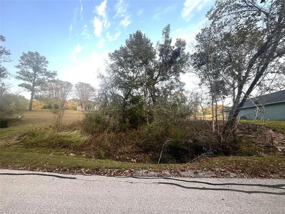 Unit for sale at 106 S Pine Harbour Drive, Coldspring, TX 77331