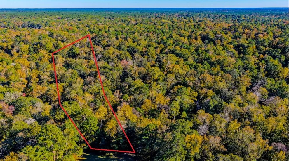Unit for sale at TBD2 Rolling Ridge Road, Goodrich, TX 77335