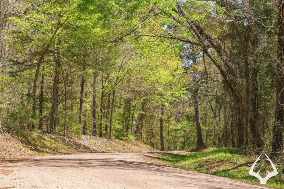 Unit for sale at TBD County Road 435 D, Laneville, TX 75667