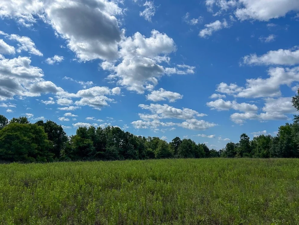 Unit for sale at TBD County Road 1804, Rusk, TX 75785