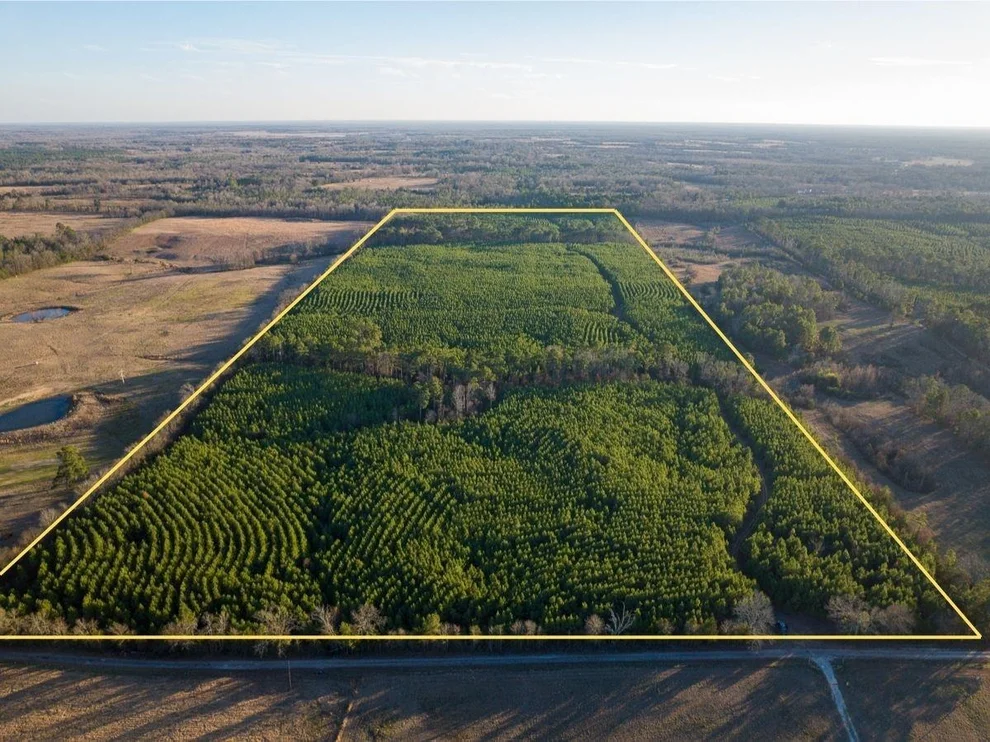 Unit for sale at T-7 Cr 4415, Annona, TX 75559