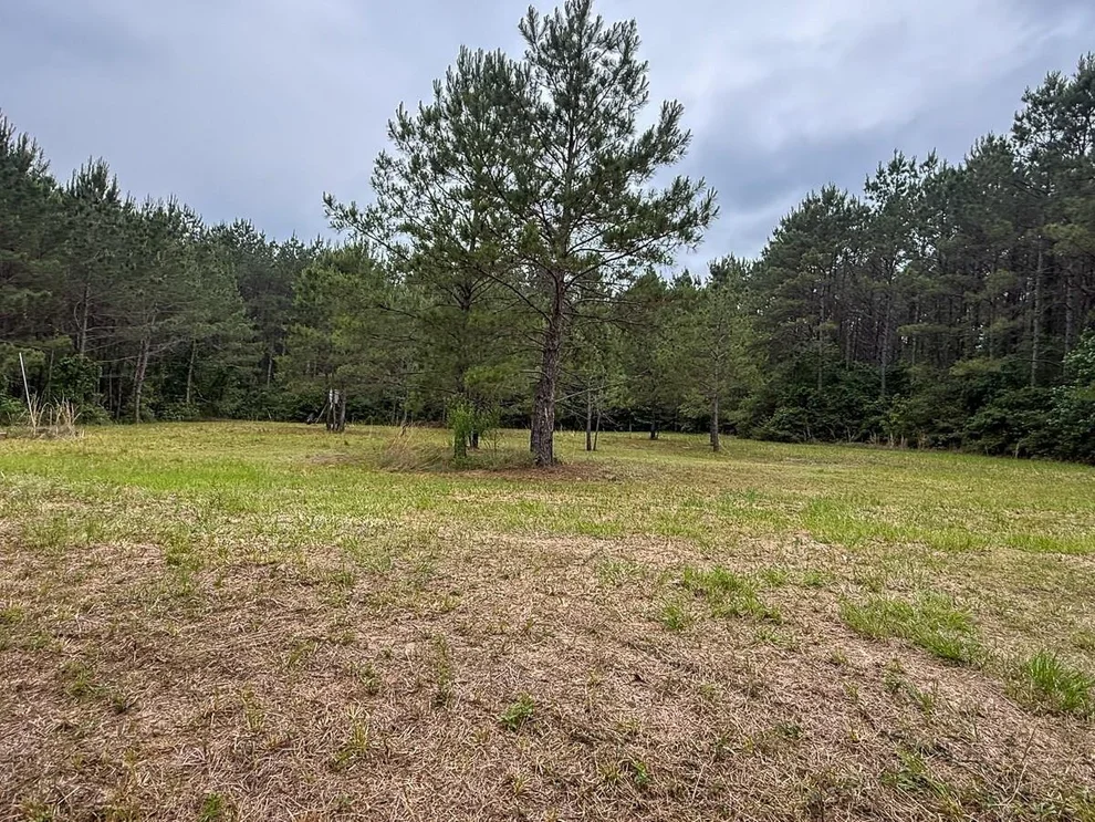 Unit for sale at 1131 Big Woods Road, New Waverly, TX 77358