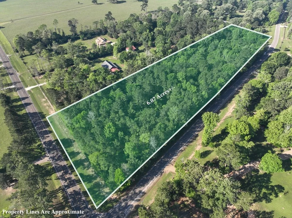 Unit for sale at 1 Fm 2610, Livingston, TX 77351